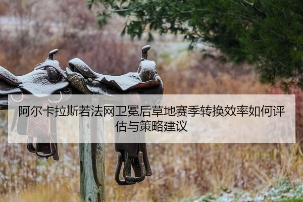 阿尔卡拉斯若法网卫冕后草地赛季转换效率如何评估与策略建议