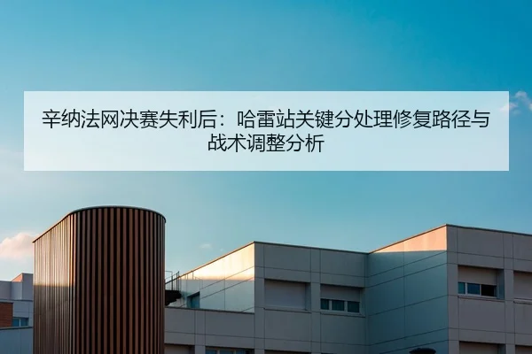 辛纳法网决赛失利后：哈雷站关键分处理修复路径与战术调整分析